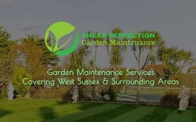 Shear Perfection Garden Maintenance